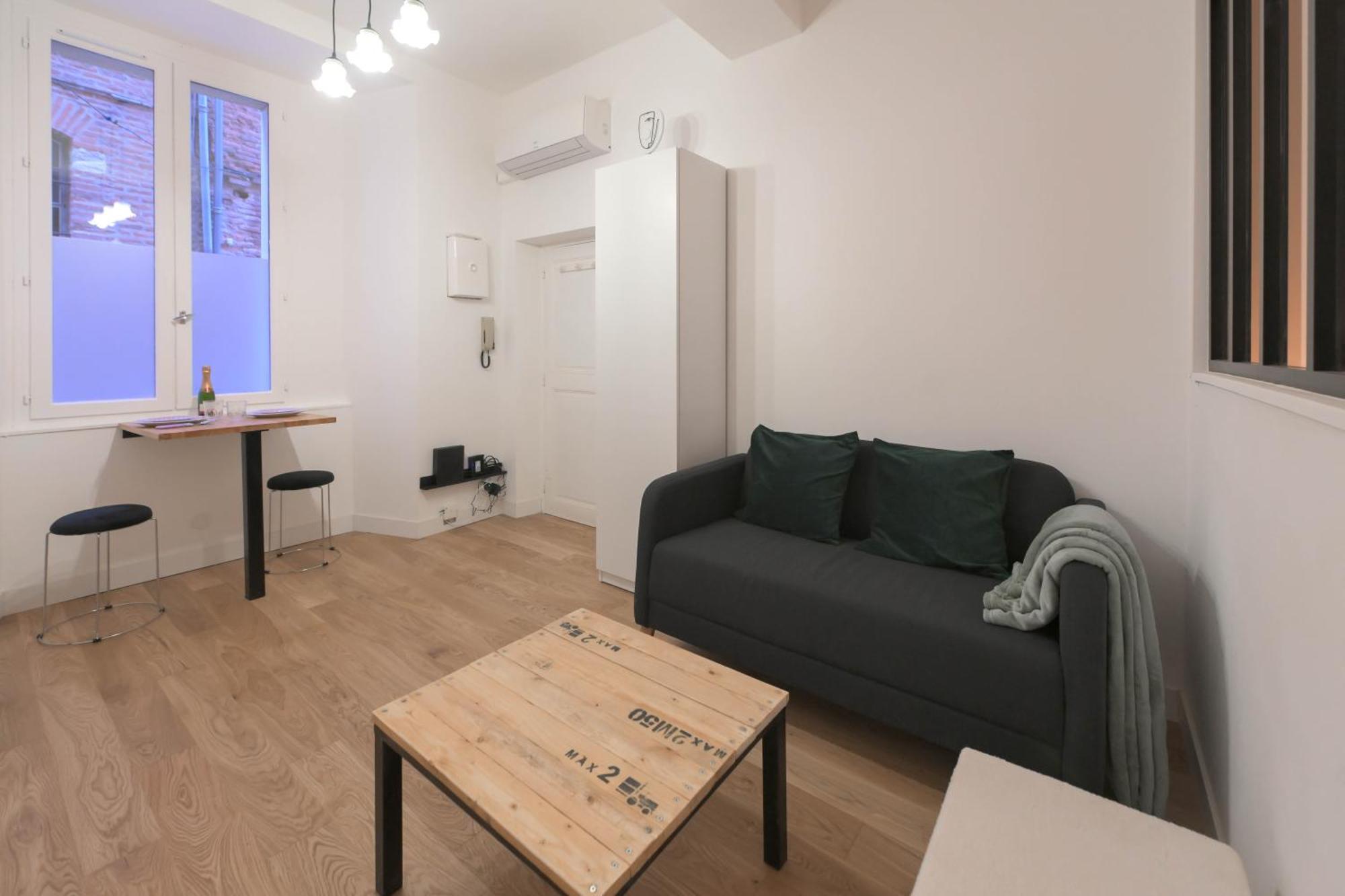 Appartement T1 Bis L'Enfilade Albi Buitenkant foto